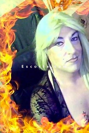Jenny Trav - Shemale Escorts Faenza