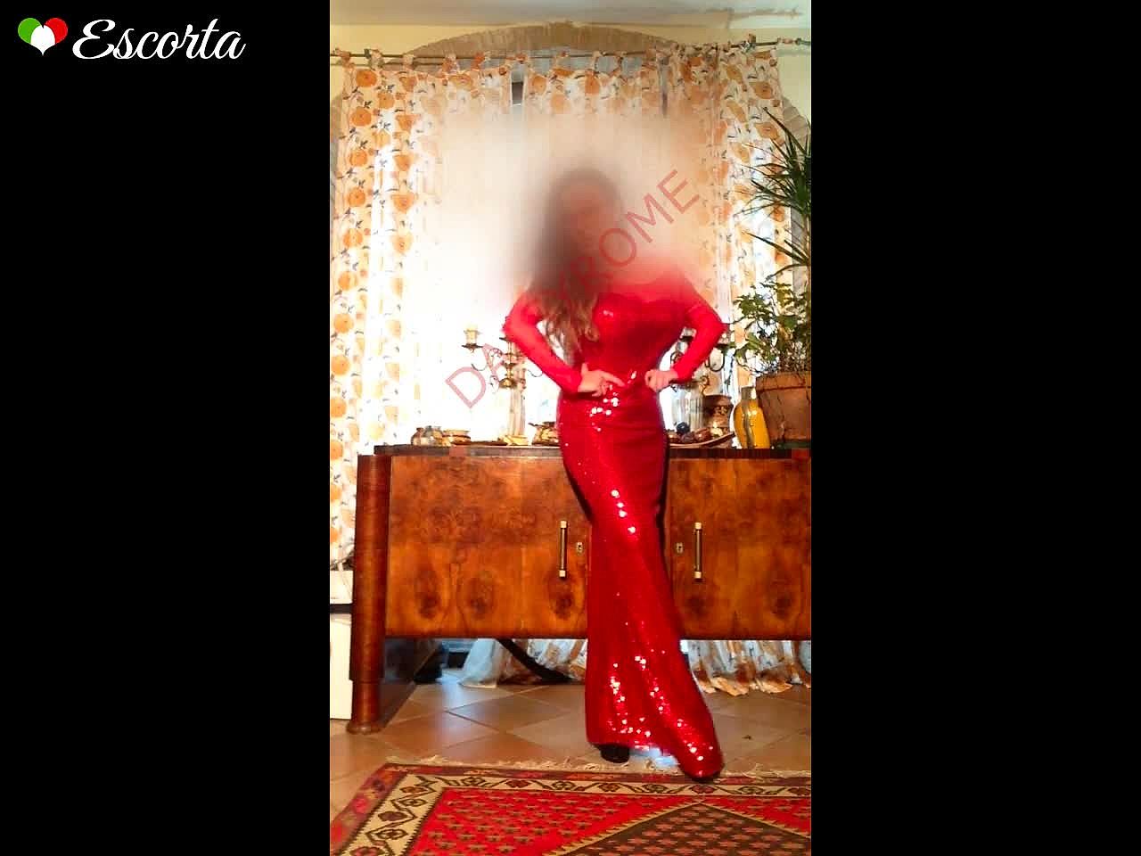 Daisy Video Background