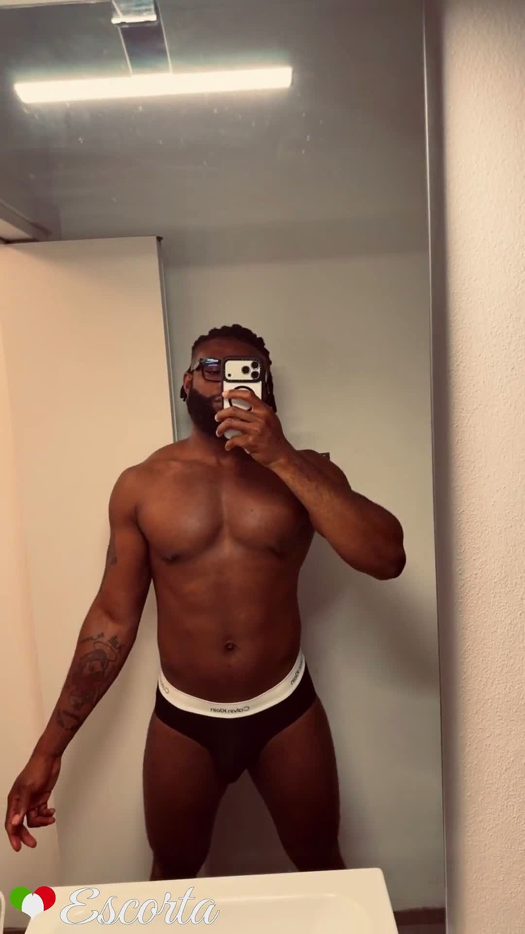 Stallone africano 🐎🍆 Video Background