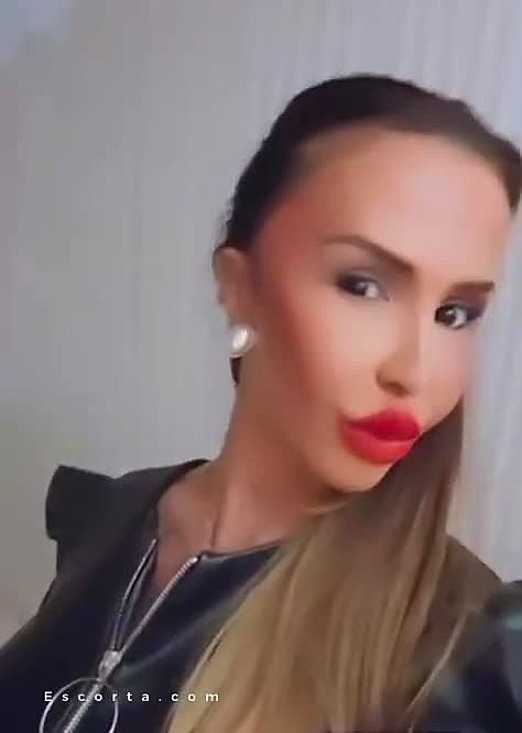 DONA PENELOP  BRASILIANA Video Background