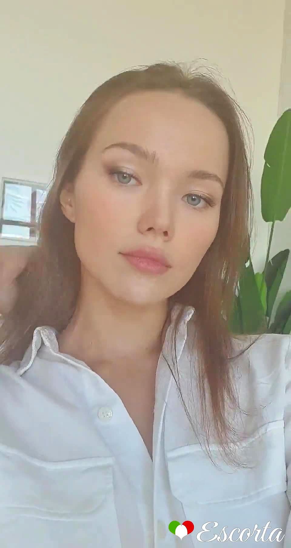 Tutsy Video Sfondo