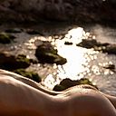 Fox Real Profile Commenta