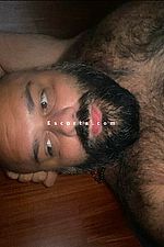 PORCORSO - Escort Piacenza
