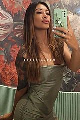 Albina