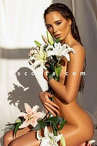 Bianca - Genova Escorts