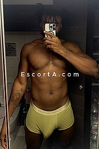 Stallone africano 🐎🍆 - Uomo cerca donna Bari