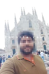 Meaw arn - Uomo cerca donna Venezia