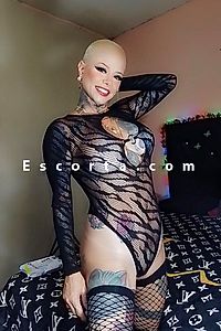 Exotic