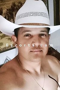 JBCMTE - Bari Boy Escorts