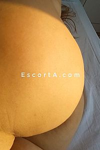 GiuliaLatigressa - Vigevano Escorts