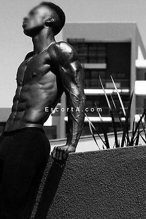 Alex gigolo - Roma Boy Escorts