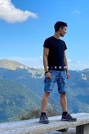 thomas bergamo - Male escorts Como