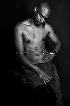 Mrwildwolf89 - Male escorts Modena