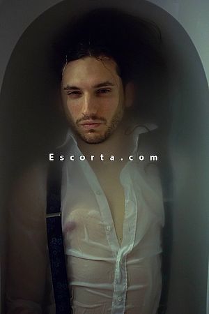 Virgo - Male escorts Verona