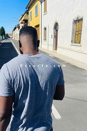 Nero - Male escorts Mantova