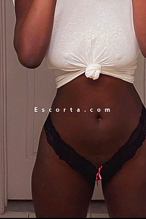 New in Town - Escort girls Verona