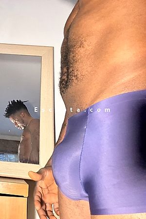 MaV231 - Uomo cerca donna Piacenza