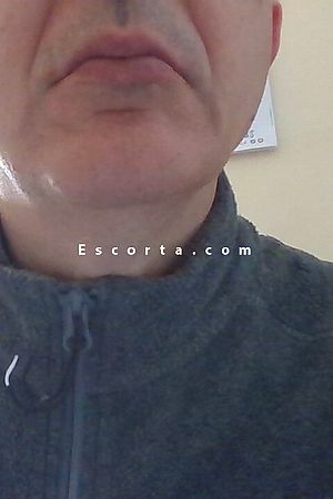 ted - Male escorts Potenza