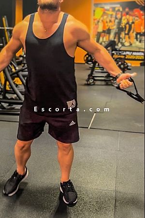 RugbyRoma - Male escorts Roma