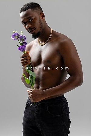 Maxwell - Male escorts Bagnolo Mella