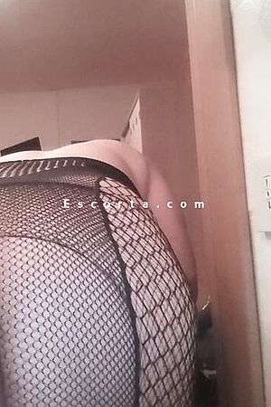 Denitrav - Shemale Escorts Bergamo