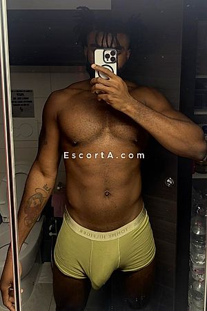 Stallone africano 🐎🍆 - Uomo cerca donna Napoli