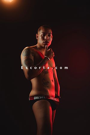 Lucas - Male escorts Milano