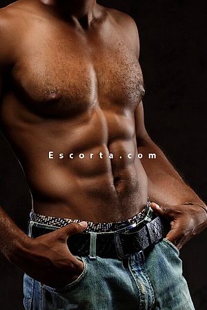 Blackbull23 - Male escorts Verona