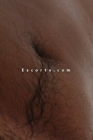 Yoshua - Male escorts Ravenna