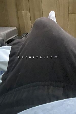 Alex - Male escorts Milano