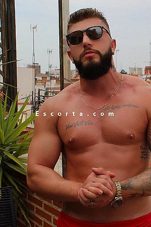 Lucasboybrazilian - Escort girls Torino