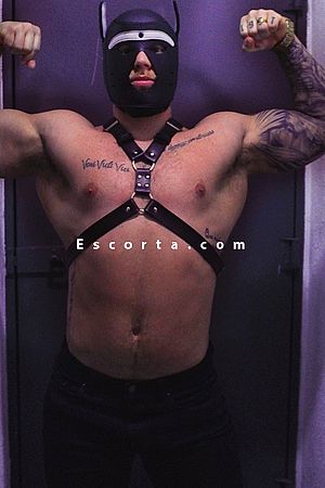 Domlucas - Male escorts Torino