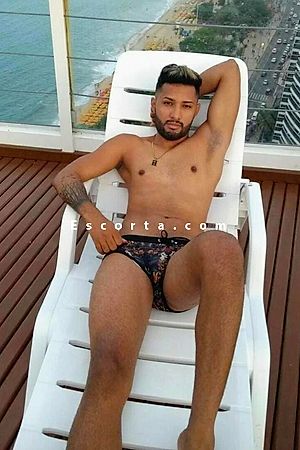 IKAROTOPMASTER21CM - Male escorts Verona