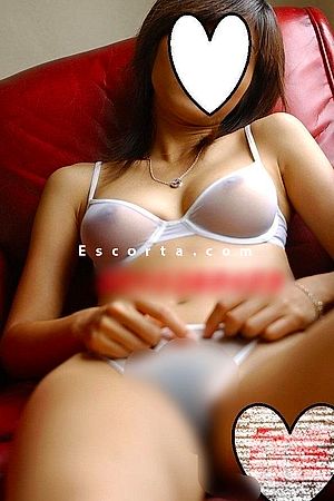 Jin - Escort Bologna