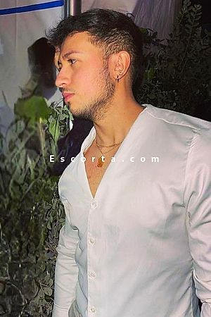 Luis Alban - Male escorts Genova