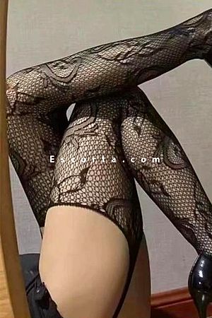 Pamela Foto #2