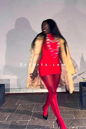 Boss lady zari Foto #2