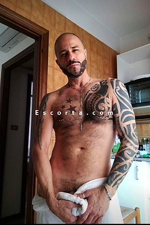 alex - Rimini Boy Escorts