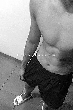 DON’T MISS MY DICK 😈 - Parma Boy Escorts