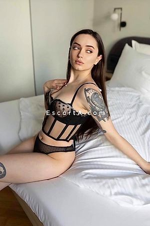 Michel - Escort Recco