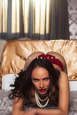 Sofia - Bologna Trans Escorts
