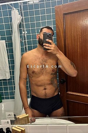 Pacco Lambertini Photo #2