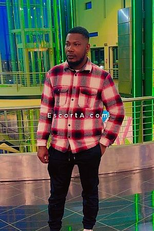 Sylvestre - Uomo cerca donna Reggio Emilia