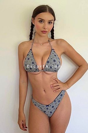 Sasha🐰 - Escort Roma