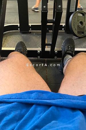 Palestra88 - Torino Boy Escorts