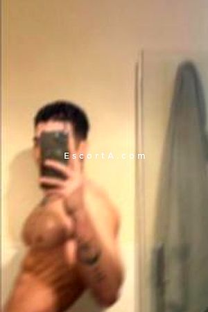 Ale Photo #3