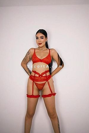 Dahian - Escort Mercato San Severino