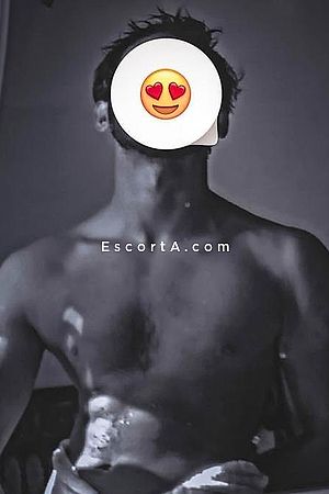 Leone Foto #3