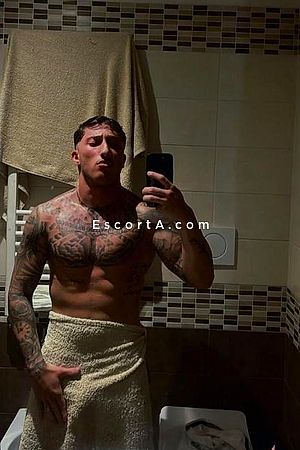 Alexander23 Photo