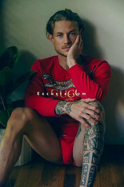 Gwoodlightt - Milano Boy Escorts #2